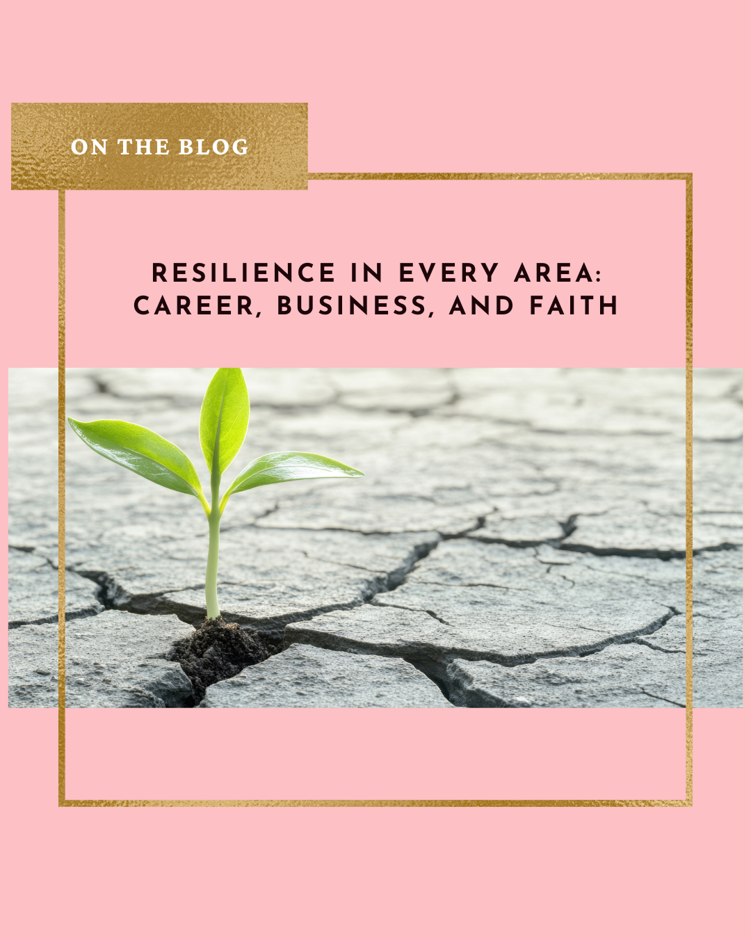 Resilience in Every Area: Career, Business, and Faith